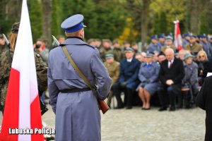 Uroczystości pod pomnikiem