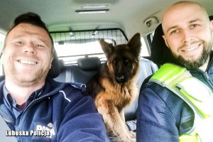 policjanci i pies w aucie
