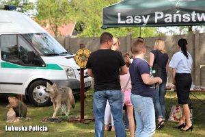 Uczestnicy festynu przy namiocie prewencyjnym Lasów Państwowych