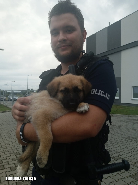 Policjant z pieskiem