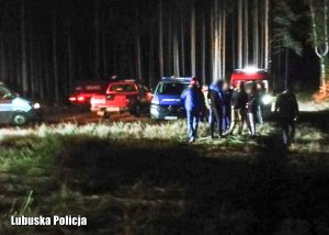 Akcja poszukiwawcza w lesie - policjanci i strażacy.