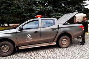 Strażnik Leśny pakuje klatkę z ptakiem do samochodu