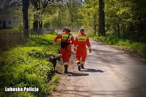 Strażacy, którzy sprawdzają okoliczne tereny.