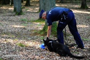 Policyjny przewodnik z psem służbowym w lesie.