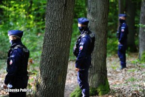 policjanci w lesie szukają zaginionego mężczyzny