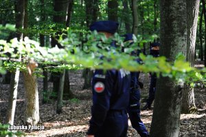 policjanci w lesie szukają zaginionego mężczyzny