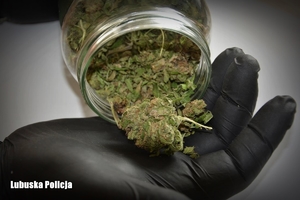 Marihuana zabezpieczona w słoiku