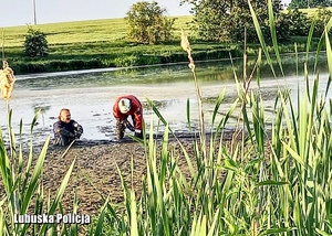 Policjant uczestniczy w akcji ratunkowej na bagnach