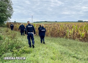 policjanci podczas poszukiwań