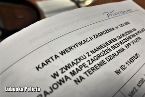 Karta weryfikacyjna Krajowej Mapy Zagrożeń Bezpieczeństwa