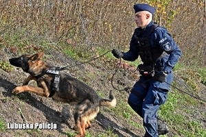 policjant biegnie z psem
