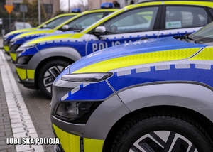 Policyjne radiowozy stojące w rzędzie.