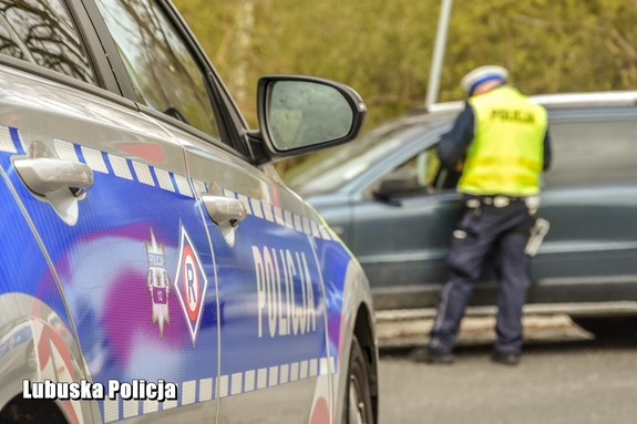 Policjant prowadzi kontrole drogową