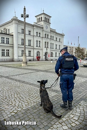 policyjny przewodnik ze swoim psem podczas patrolu