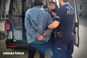 policjanci osadzają mężczyznę w radiowozie