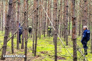 mundurowi przeszukują teren