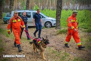 mundurowi z psami przeszukują las