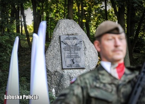 Żołnierz posterunku honorowego, a za nim pomnik.