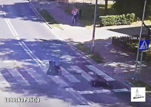 Nagranie z monitoringu miejskiego - potrącenie osoby niepełnosprawnej na przejściu dla pieszych.