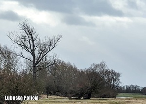 Dorzecze rzeki Warty.