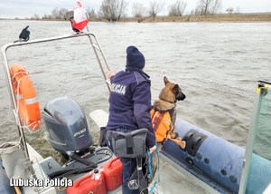 Policjantka na motorówce z psem służbowych podczas działań poszukiwawczych.