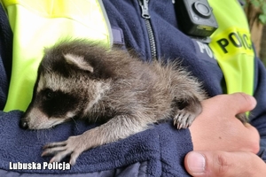 policjant trzyma szopa