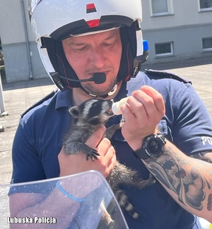 policjant trzyma szopa