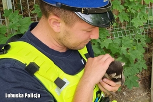 policjant trzyma szopa