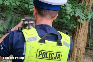policjant trzyma szopa