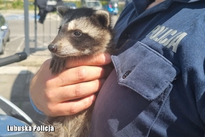 policjant trzyma szopa