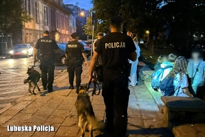 policjanci z psami idą ulicą