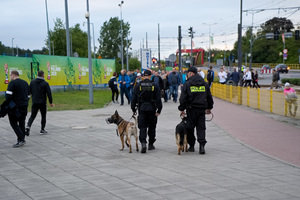 Dwaj przewodnicy psów służbowych wraz z dwoma psami patrolują teren stadionu