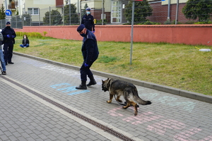 policyjny przewodnik prezentuje pokaz z psem
