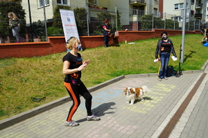 przewodnik prezentuje pokaz z psem. W oddali stoi z megafonem kyno terapeuta, który opowiada o pokazie