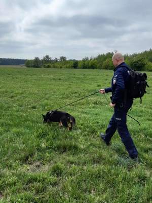 policjant prezentuje umiejętności psa służbowego