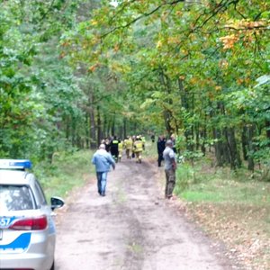 Poszukujący chodzą po lesie, a obok stoi radiowóz