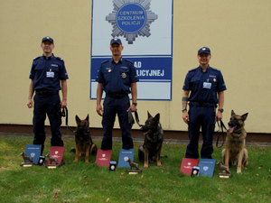 Policjanci z psami na tle baneru.