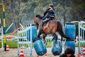 IV Międzynarodowe Zawody Konne Służb Mundurowych