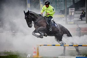 IV Międzynarodowe Zawody Konne Służb Mundurowych