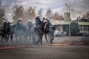 Konie służbowe podczas atestacji.