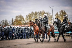 Konie służbowe podczas atestacji