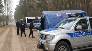 Policjanci w  lesie , widac radiowóz oznakowany