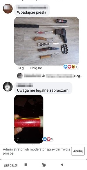 Zrzut z ekranu postów.