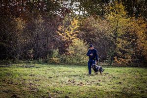 Policjant ze swoim psem służbowym.