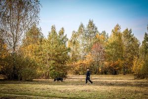 Policjant ze swoim psem służbowym.