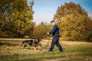 Policjant ze swoim psem służbowym.