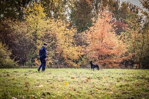 Policjant ze swoim psem służbowym.