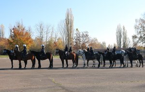 Policjanci  i strażnicy miejscy na koniach w trakcie przejazdu.