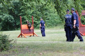 Policjant z psem służbowym w trakcie zmagań konkursowych.