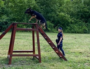 Policjant z psem służbowym w trakcie zmagań konkursowych.